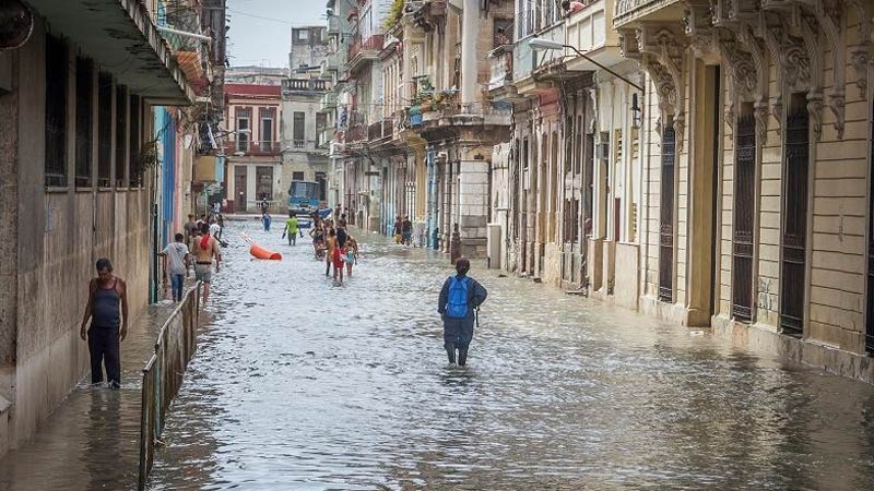 Ураганы на Карибах оставили миллионные потери