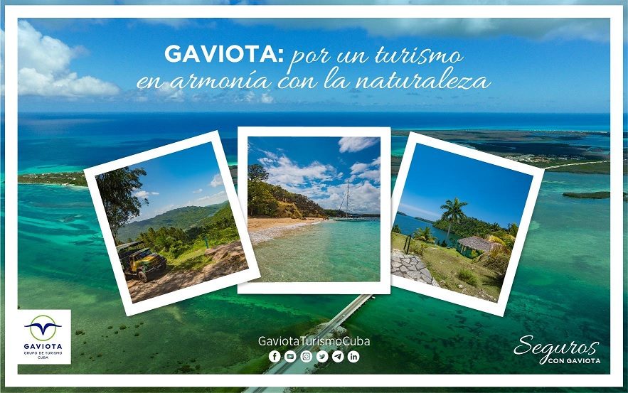 banner gaviota