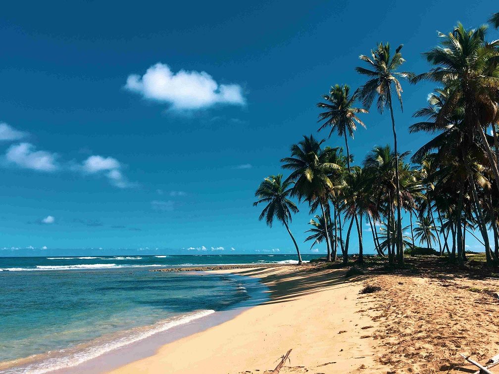 beach